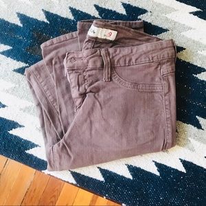 Dusky purple pants